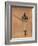 New York City, NY, New York Giants, Tim Keefe, Baseball Card-Lantern Press-Framed Art Print