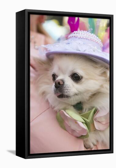 New York City, NY. New Yorkers on 5th Ave for the Easter Parade-Julien McRoberts-Framed Premier Image Canvas