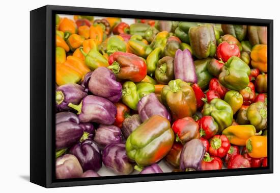 New York City, Ny, USA. Farmers Market-Julien McRoberts-Framed Premier Image Canvas