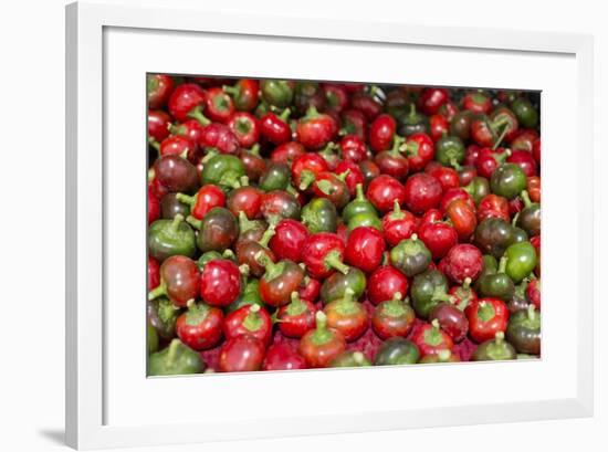 New York City, Ny, USA. Farmers Market-Julien McRoberts-Framed Photographic Print