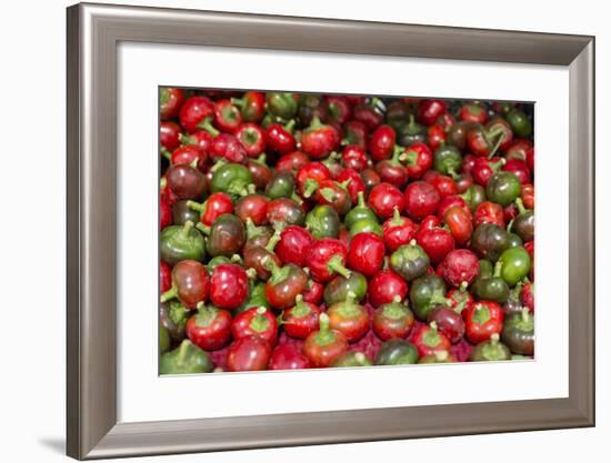 New York City, Ny, USA. Farmers Market-Julien McRoberts-Framed Photographic Print