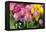 New York City, NY, USA. Floral Displays for Spring-Julien McRoberts-Framed Premier Image Canvas