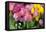 New York City, NY, USA. Floral Displays for Spring-Julien McRoberts-Framed Premier Image Canvas