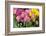 New York City, NY, USA. Floral Displays for Spring-Julien McRoberts-Framed Photographic Print