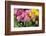 New York City, NY, USA. Floral Displays for Spring-Julien McRoberts-Framed Photographic Print