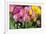 New York City, NY, USA. Floral Displays for Spring-Julien McRoberts-Framed Photographic Print