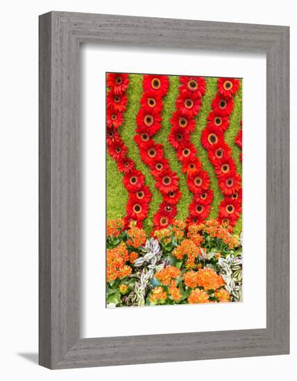 New York City, NY, USA. Floral Displays for Spring-Julien McRoberts-Framed Photographic Print