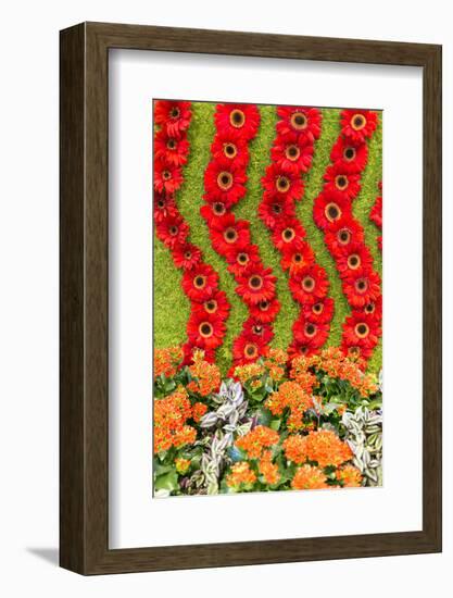 New York City, NY, USA. Floral Displays for Spring-Julien McRoberts-Framed Photographic Print