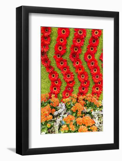 New York City, NY, USA. Floral Displays for Spring-Julien McRoberts-Framed Photographic Print