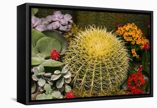 New York City, NY, USA. Floral Displays for Spring-Julien McRoberts-Framed Premier Image Canvas