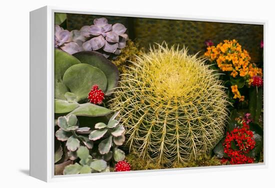 New York City, NY, USA. Floral Displays for Spring-Julien McRoberts-Framed Premier Image Canvas