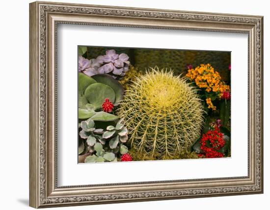 New York City, NY, USA. Floral Displays for Spring-Julien McRoberts-Framed Photographic Print