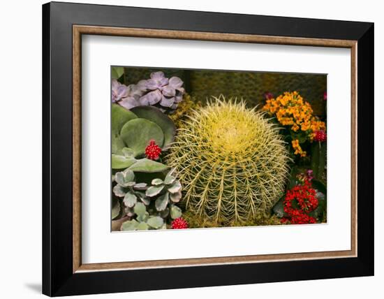 New York City, NY, USA. Floral Displays for Spring-Julien McRoberts-Framed Photographic Print