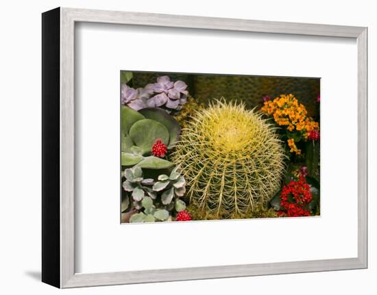 New York City, NY, USA. Floral Displays for Spring-Julien McRoberts-Framed Photographic Print