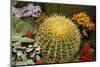 New York City, NY, USA. Floral Displays for Spring-Julien McRoberts-Mounted Photographic Print