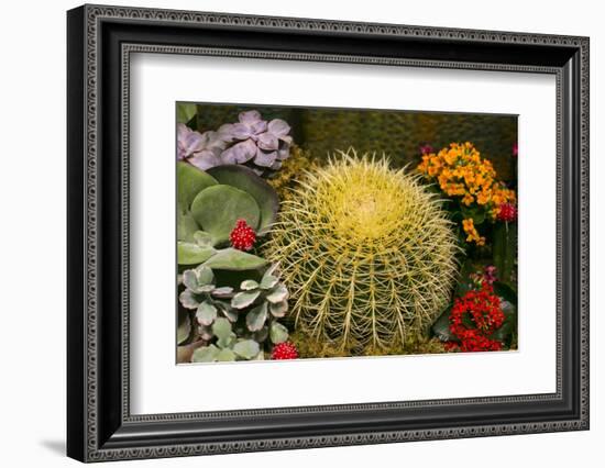 New York City, NY, USA. Floral Displays for Spring-Julien McRoberts-Framed Photographic Print