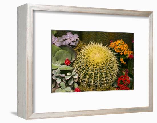 New York City, NY, USA. Floral Displays for Spring-Julien McRoberts-Framed Photographic Print