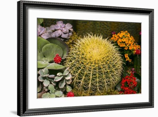 New York City, NY, USA. Floral Displays for Spring-Julien McRoberts-Framed Photographic Print