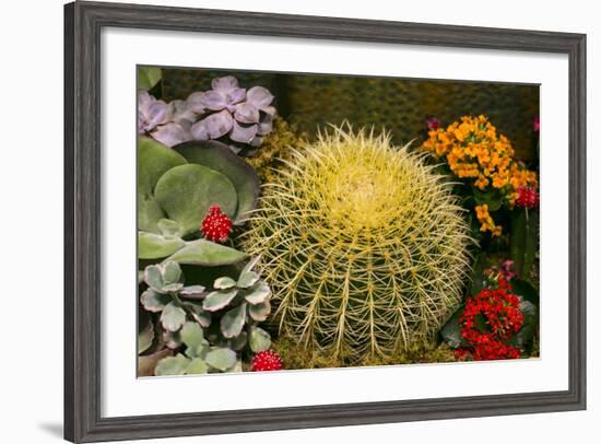 New York City, NY, USA. Floral Displays for Spring-Julien McRoberts-Framed Photographic Print