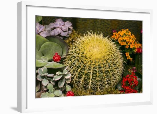 New York City, NY, USA. Floral Displays for Spring-Julien McRoberts-Framed Photographic Print