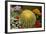 New York City, NY, USA. Floral Displays for Spring-Julien McRoberts-Framed Photographic Print