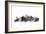 New York City Skyline-Michael Tompsett-Framed Art Print