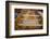 New York, Clayton. Antique Boat Museum. Peterborough wooden canoe.-Cindy Miller Hopkins-Framed Photographic Print
