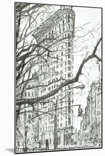 New York Flat Iron Building, 2003-Vincent Alexander Booth-Mounted Giclee Print