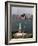 New York Landmark Statue Liberty-Ed Bailey-Framed Photographic Print