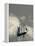 New York, Long Island, Greenport, Tall Ship Weather Vane, USA-Walter Bibikow-Framed Premier Image Canvas
