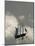 New York, Long Island, Greenport, Tall Ship Weather Vane, USA-Walter Bibikow-Mounted Photographic Print