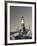 New York, Long Island, Montauk, Montauk Point Lighthouse, USA-Walter Bibikow-Framed Photographic Print