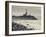 New York, Long Island, Montauk, Montauk Point Lighthouse, USA-Walter Bibikow-Framed Photographic Print