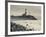 New York, Long Island, Montauk, Montauk Point Lighthouse, USA-Walter Bibikow-Framed Photographic Print