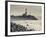 New York, Long Island, Montauk, Montauk Point Lighthouse, USA-Walter Bibikow-Framed Photographic Print