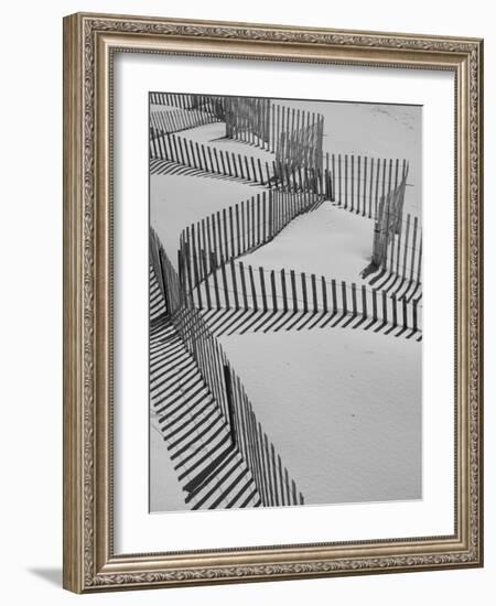 New York, Long Island, the Hamptons, Westhampton Beach, Beach Erosion Fence, USA-Walter Bibikow-Framed Photographic Print