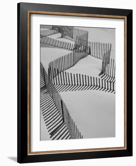 New York, Long Island, the Hamptons, Westhampton Beach, Beach Erosion Fence, USA-Walter Bibikow-Framed Photographic Print