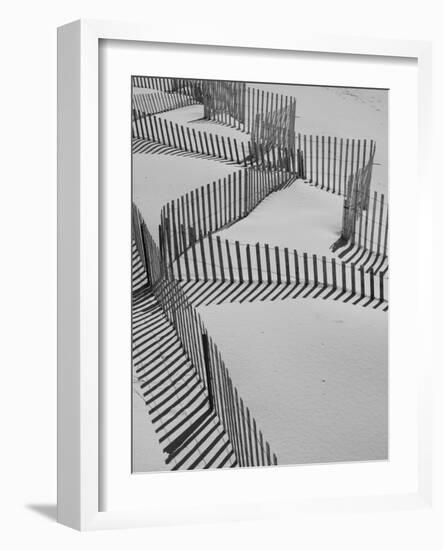 New York, Long Island, the Hamptons, Westhampton Beach, Beach Erosion Fence, USA-Walter Bibikow-Framed Photographic Print