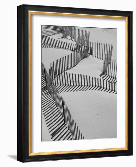 New York, Long Island, the Hamptons, Westhampton Beach, Beach Erosion Fence, USA-Walter Bibikow-Framed Photographic Print