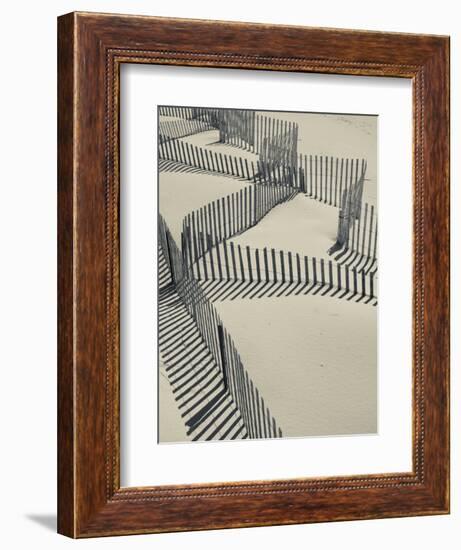 New York, Long Island, the Hamptons, Westhampton Beach, Beach Erosion Fence, USA-Walter Bibikow-Framed Photographic Print