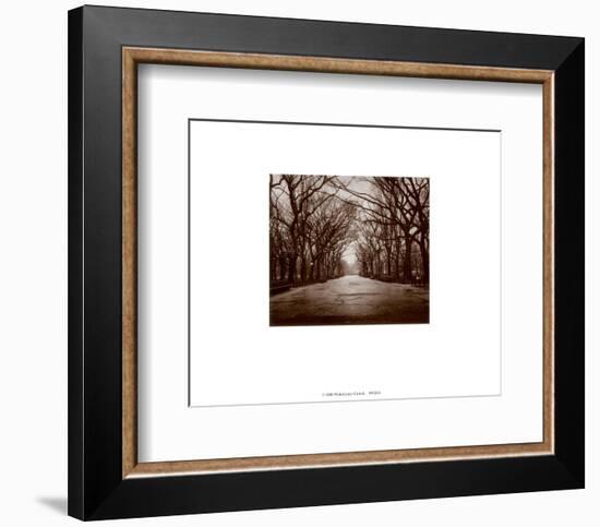 New York, New York, Central Park-Walter Gritsik-Framed Art Print