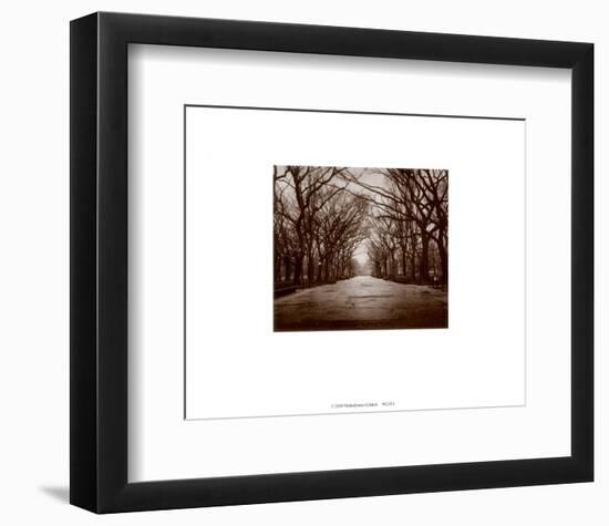 New York, New York, Central Park-Walter Gritsik-Framed Art Print