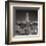 New York, New York, Chrysler Building-William Van Alen-Framed Art Print