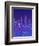 New York, New York-Diana Ong-Framed Giclee Print