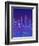 New York, New York-Diana Ong-Framed Giclee Print