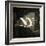 New York News-Jace Grey-Framed Art Print