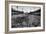 New York: Polo Grounds-null-Framed Giclee Print