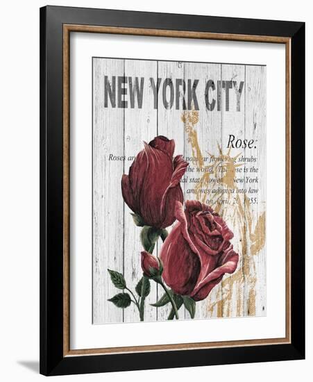 New York Roses-Alicia Soave-Framed Art Print