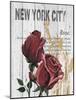 New York Roses-Alicia Soave-Mounted Art Print