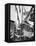 New York: Tenement, 1936-null-Framed Premier Image Canvas